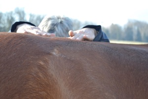 Photo de consultation